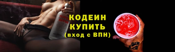 прущие грибы Алзамай