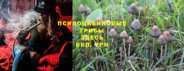 прущие грибы Алзамай