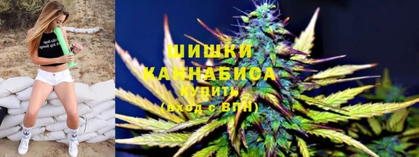 прущие грибы Алзамай