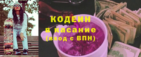 прущие грибы Алзамай