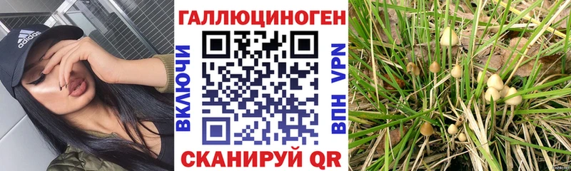 Псилоцибиновые грибы мицелий  как найти закладки  Межгорье 
